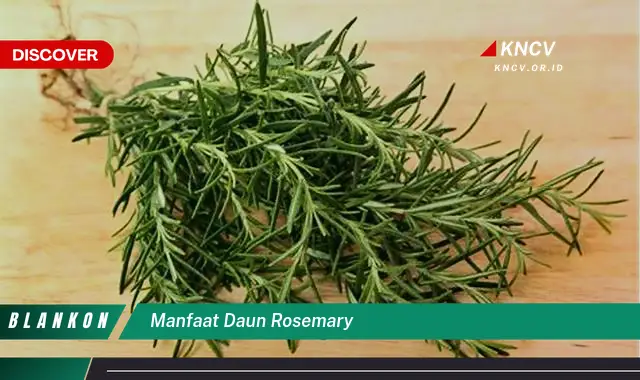 Temukan 7 Manfaat Daun Rosemary yang Mengejutkan