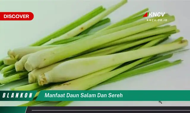 Ketahui 6 Manfaat Daun Salam dan Sereh yang Jarang Diketahui