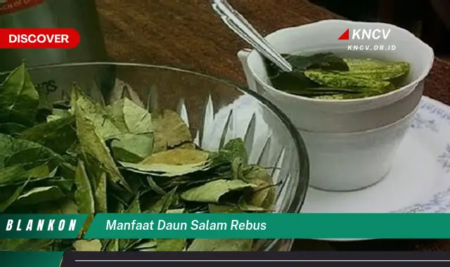 Ketahui 6 Manfaat Daun Salam Rebus yang Jarang Diketahui