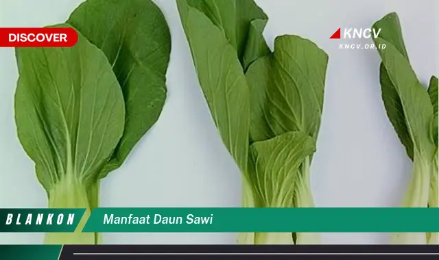 Ketahui 9 Manfaat Daun Sawi untuk Kesehatan, Kecantikan, dan Masakan