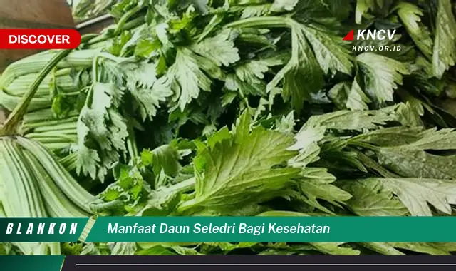 9 Manfaat Daun Seledri bagi Kesehatan yang Jarang Diketahui