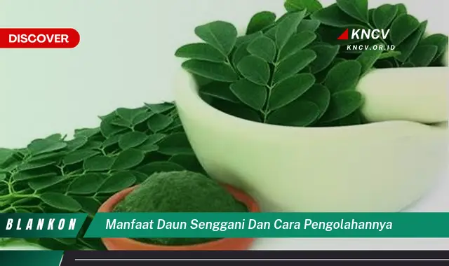 Temukan 8 Manfaat Daun Senggani yang Belum Banyak Orang Tahu