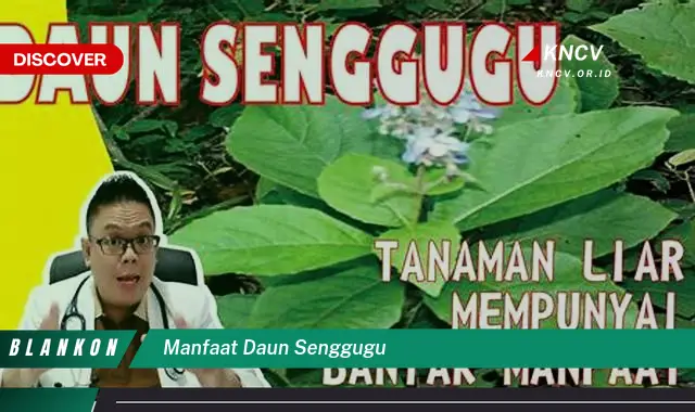 Ketahui 10 Manfaat Daun Senggugu untuk Kesehatan Anda