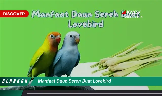 Ketahui 9 Manfaat Daun Sereh untuk Lovebird, Kesehatan, Perawatan, dan Tips Praktis