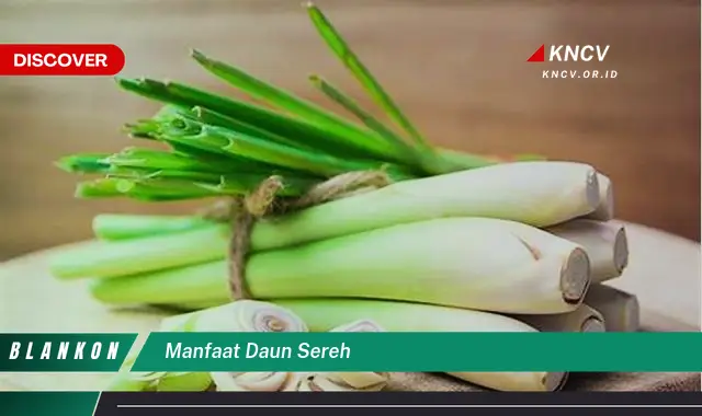 Ketahui 7 Manfaat Daun Sereh yang Jarang Diketahui