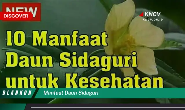 Ketahui 8 Manfaat Daun Sidaguri untuk Kesehatan Tubuh Anda