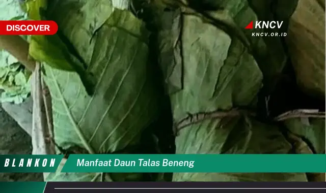 Ketahui 10 Manfaat Daun Talas Beneng untuk Kesehatan Tubuh Anda