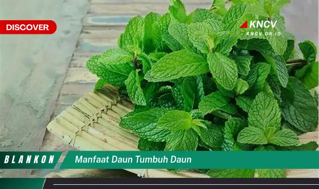 Ketahui 10 Manfaat Daun Tumbuh Daun untuk Pertumbuhan Tanaman Anda