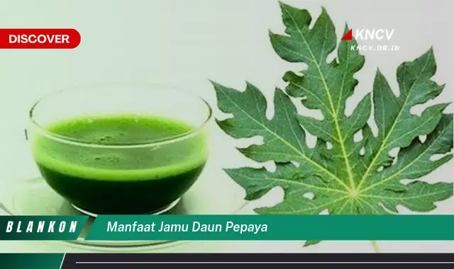 9 Khasiat Jamu Daun Pepaya: Rahasia Kesehatan Alami