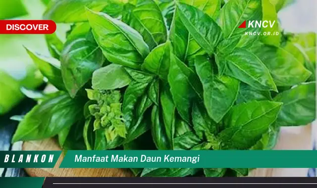 9 Manfaat Ajaib Daun Kemangi untuk Kesehatan