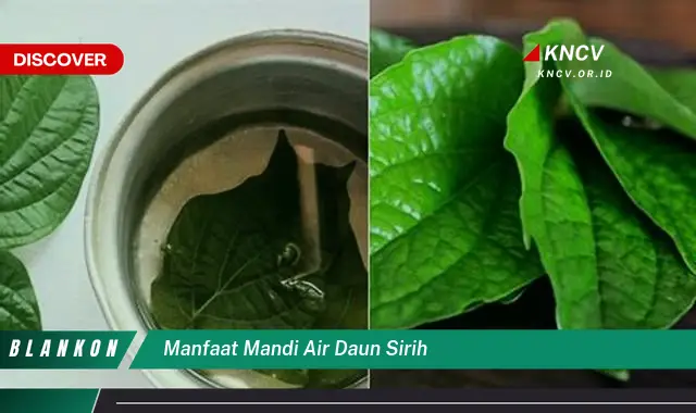 Ketahui 9 Manfaat Mandi Air Daun Sirih untuk Kesehatan Kulit dan Area Kewanitaan