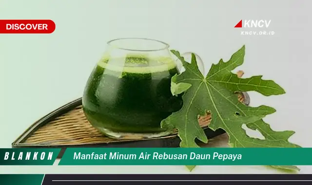 Ketahui 10 Manfaat Minum Air Rebusan Daun Pepaya untuk Kesehatan Anda