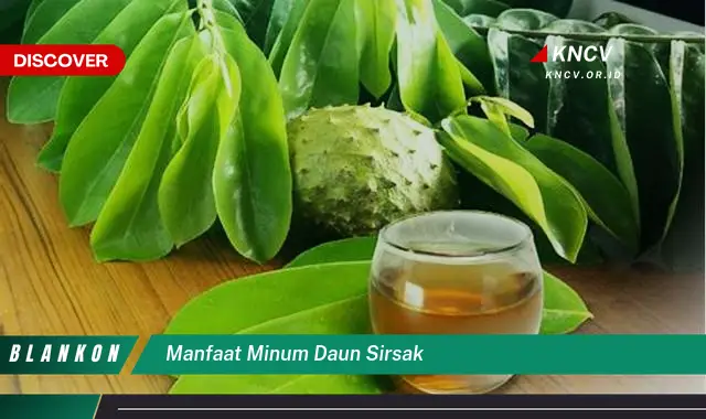 Ketahui 9 Manfaat Minum Daun Sirsak untuk Kesehatan Tubuh Anda