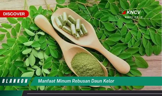 Ketahui 8 Manfaat Minum Rebusan Daun Kelor untuk Kesehatan Tubuh Anda