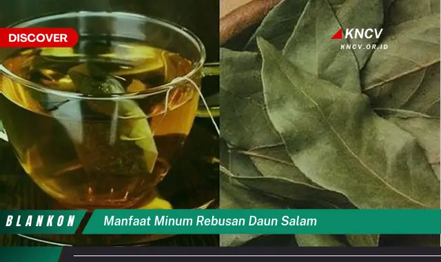 Ketahui 8 Manfaat Minum Rebusan Daun Salam untuk Kesehatan Tubuh Anda