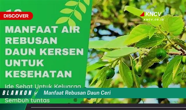 Ketahui 5 Manfaat Rebusan Daun Ceri untuk Kesehatan