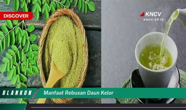 Ketahui 7 Manfaat Rebusan Daun Kelor yang Jarang Diketahui