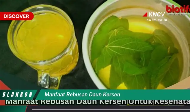 Ketahui 7 Manfaat Rebusan Daun Kersen untuk Kesehatan