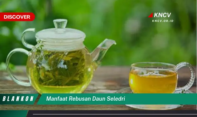 Ketahui 7 Manfaat Rebusan Daun Seledri yang Jarang Diketahui