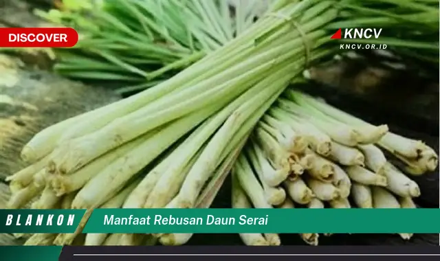 Ketahui 9 Manfaat Rebusan Daun Serai untuk Kesehatan Tubuh Anda