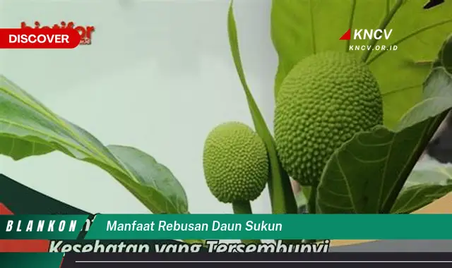 Temukan Manfaat Ajaib Rebusan Daun Sukun untuk Kesehatan