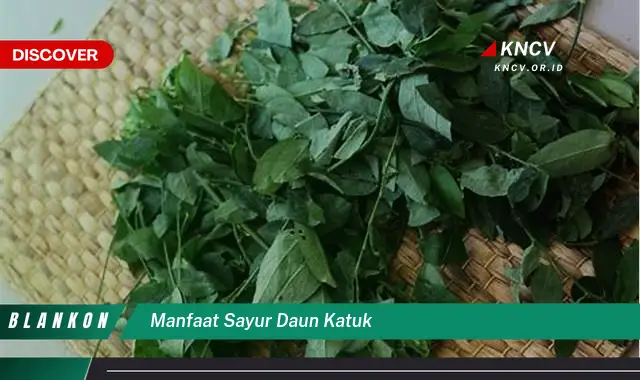 Ketahui 8 Manfaat Sayur Daun Katuk untuk Ibu Menyusui dan Bayi