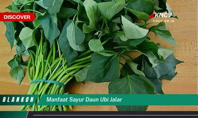 Ketahui 9 Manfaat Sayur Daun Ubi Jalar untuk Kesehatan Tubuh Anda