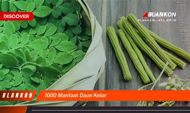 1000 manfaat daun kelor