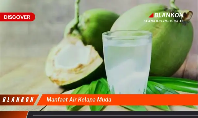 manfaat air kelapa muda