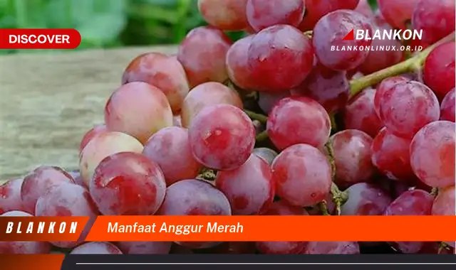 manfaat anggur merah