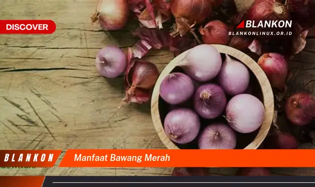 manfaat bawang merah