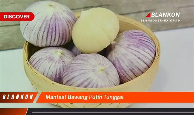 manfaat bawang putih tunggal