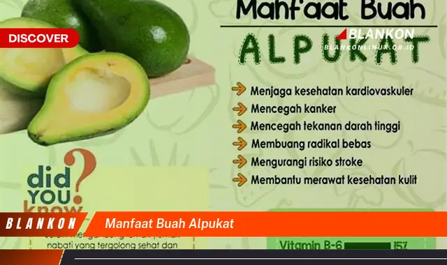 manfaat buah alpukat