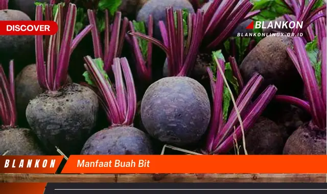 manfaat buah bit