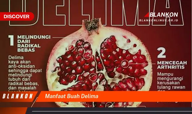 manfaat buah delima