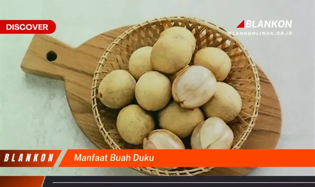 manfaat buah duku