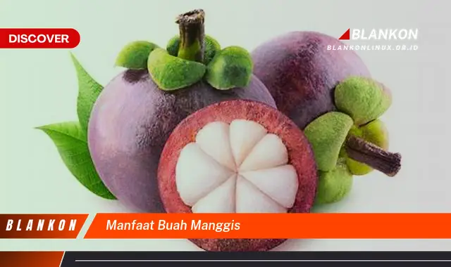 manfaat buah manggis