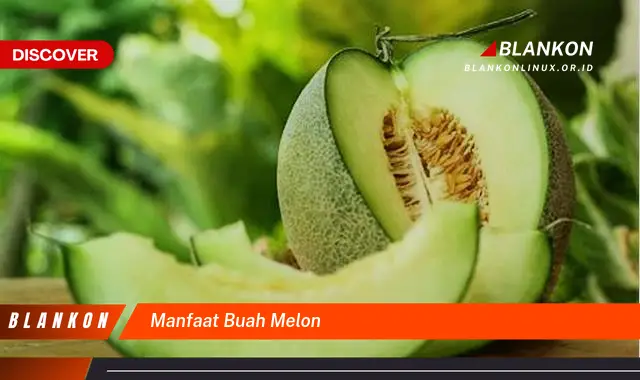 manfaat buah melon