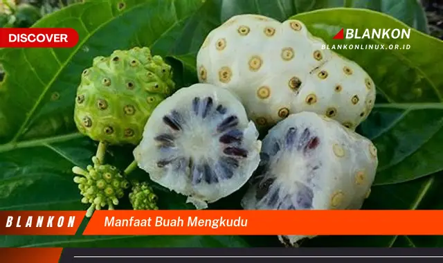 manfaat buah mengkudu