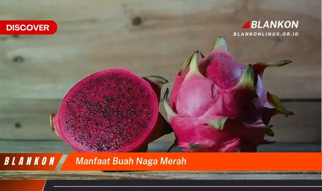 manfaat buah naga merah