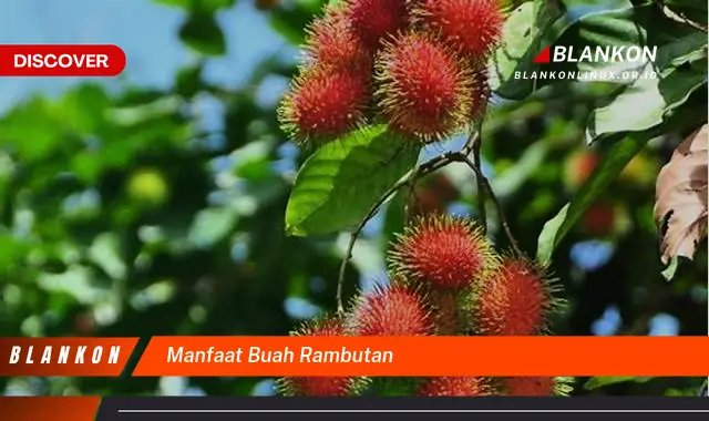 manfaat buah rambutan