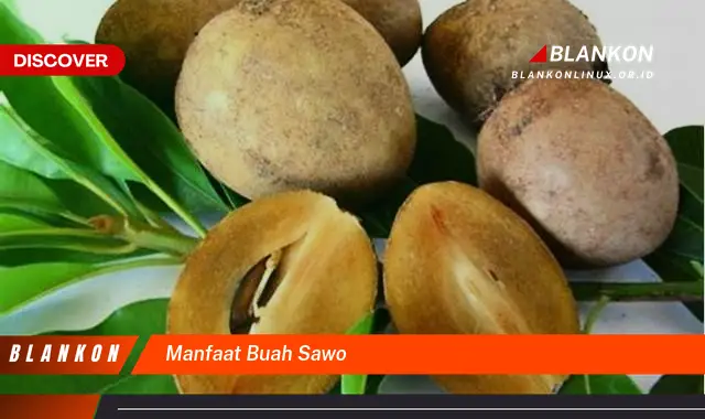 manfaat buah sawo