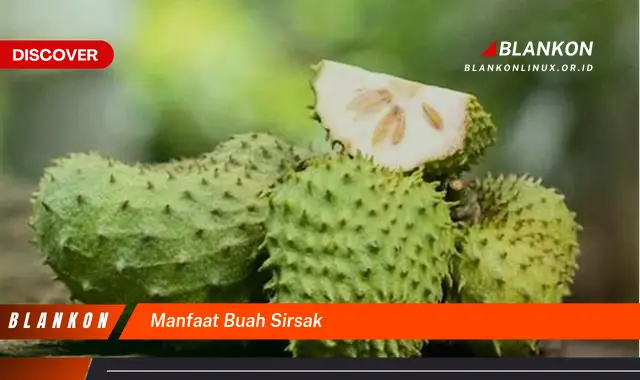 manfaat buah sirsak