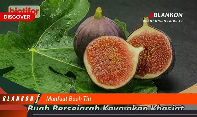 manfaat buah tin