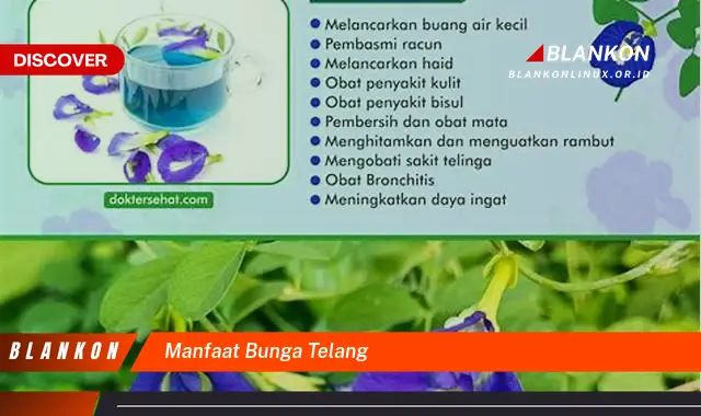 manfaat bunga telang