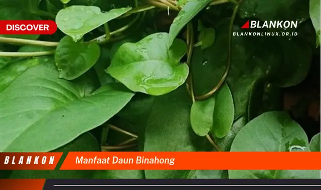 manfaat daun binahong