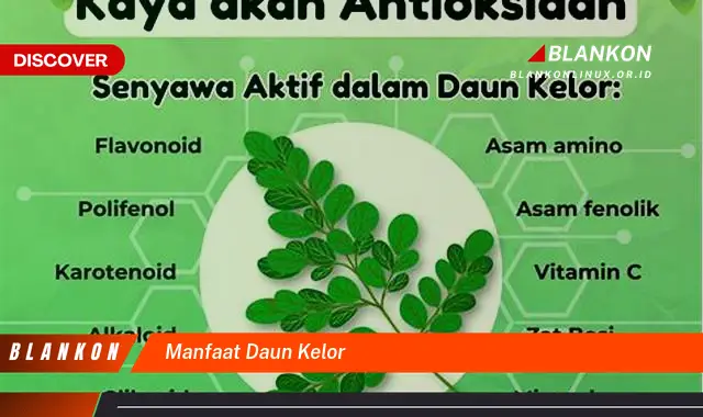 manfaat daun kelor