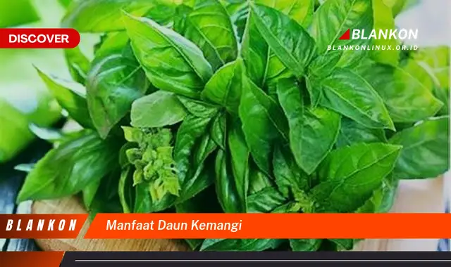 manfaat daun kemangi