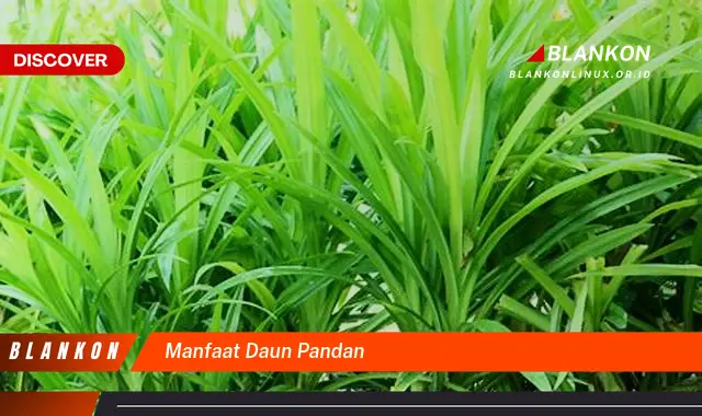 manfaat daun pandan