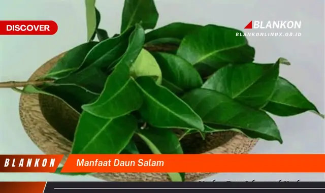 manfaat daun salam